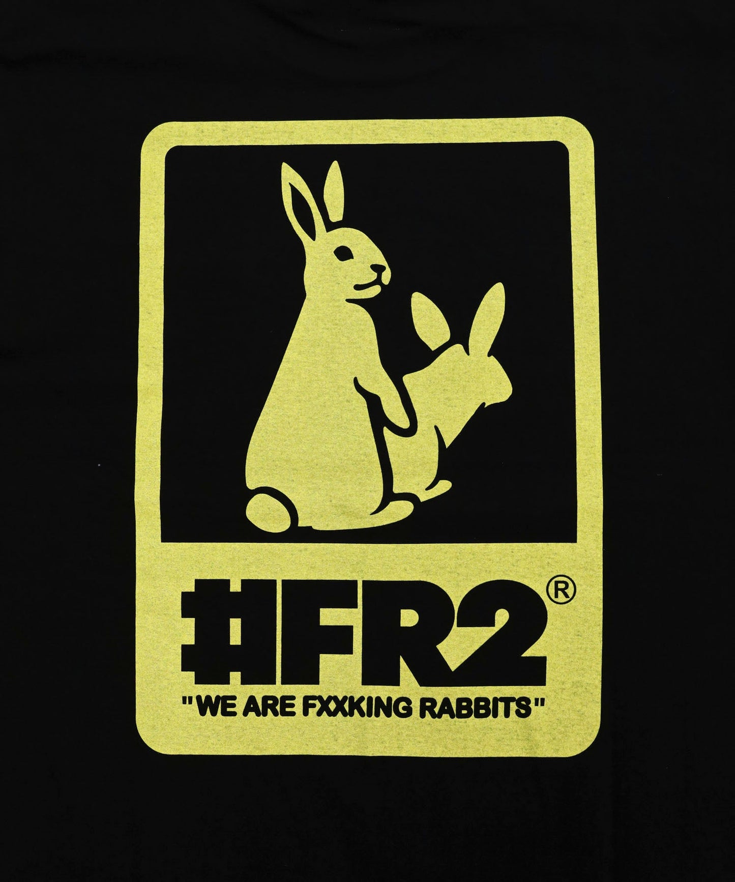 #FR2 FXXKING RABBITS Board T-shirt 印花短袖T恤