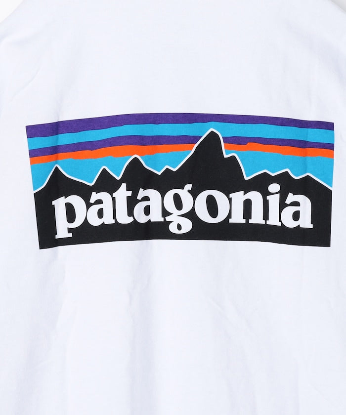Patagonia P-6 Logo Responsibili-Tee 環保標誌短袖T恤上衣 / 38504